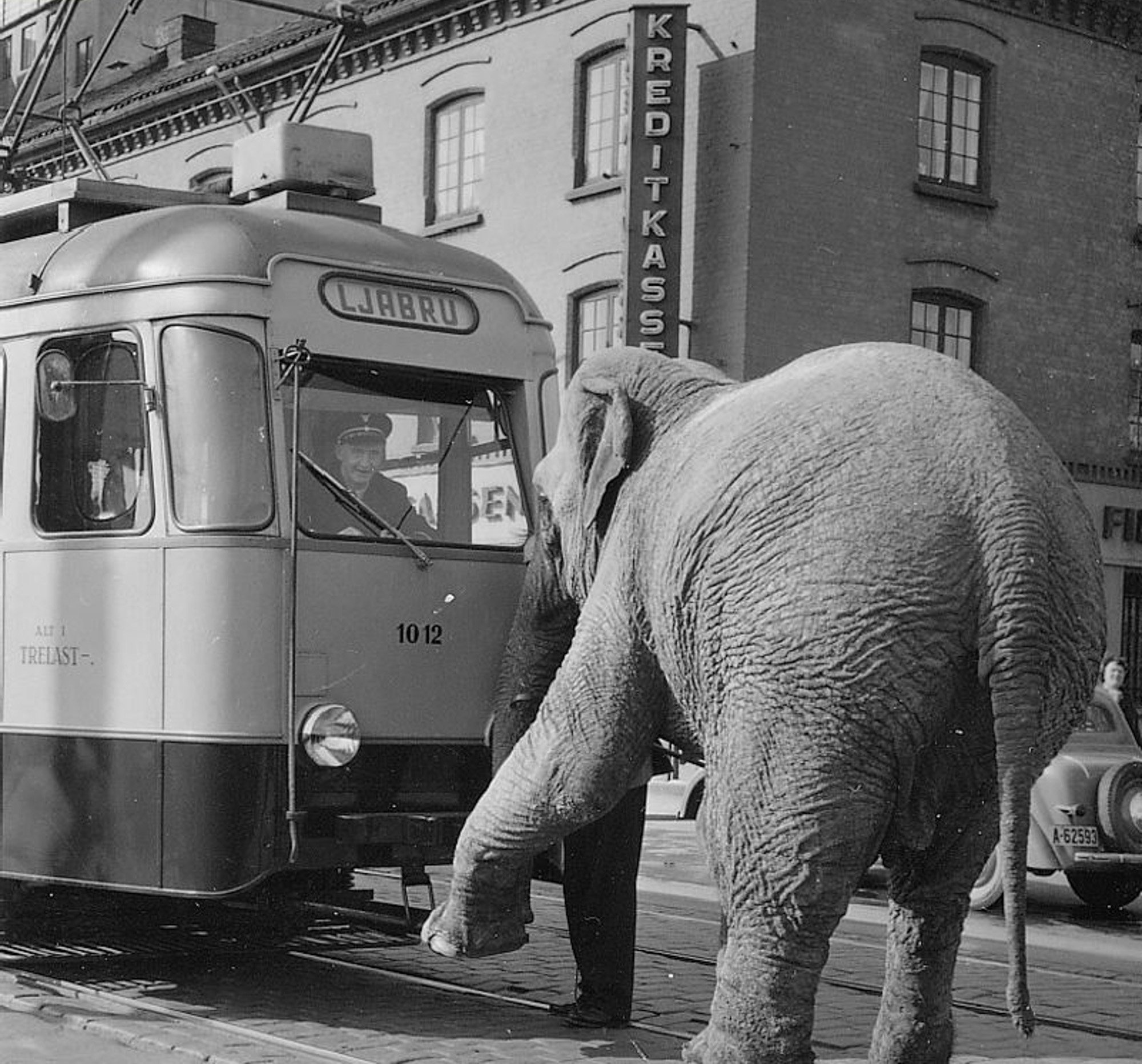 1945 - 1960 thumbnail